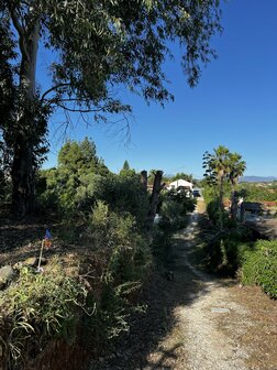 Spanje reis 2026 Wol verven, breien en genieten onder de Spaanse zon.