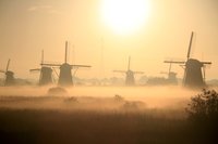 Nieuwe winterwol, zomer, uitverkoop