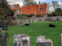 Nieuw plafond, uitwaaien op Texel, Wie past er op de molen?