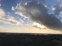 Texel, winkel vol kleurige wol, spreeuwen!