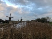 Eindeloos breien aan een shawl, Verrassingspakketten, prinses Punkie