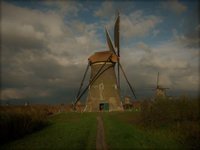 Nieuw jaar nieuwe kansen, verven verven verven, riet