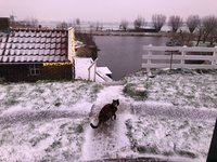 breipakketten, uitverkoop, arreslee, sneeuw