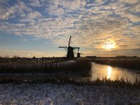 Ongeverfde wol, Tecumseh, mollen en bloembollen, sneeuw en ijs!