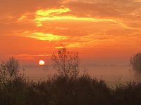 Klanten, concullega, wol verven, ganzen rond de molen