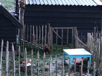 Feest, Brand, sneeuw