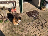 Zijmaakthet, nieuwe zomerkatoen, nieuw ontwerp Chrizknitz, takkenzooi