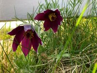 Ook wij, Noors breien, klussen geklaard, 