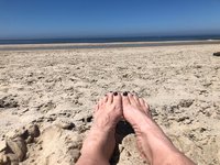 Op vakantie, het ministerie van gebreide zaken, 