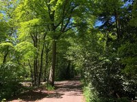 Vakantie in Schoorl, gastschrijver Serena, thuis op de molen