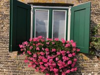 Vakantiekriebels, klantadvies, uitverkoop, wild picknickers