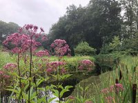 Salland, fietsen, weer thuis in Kinderdijk