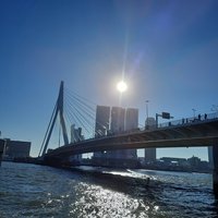 winterwol, adventskalender, op de uitkijk!