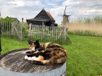 Guur weer, restjes breien, kerst in huis