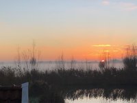 zon, sokkenswap, kambgarn, Punky