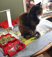 Vakantie, lockdown, Wimpy, de molenaar praat