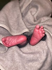 Dieks, wol verven, Heerlijke haakbox, Punky