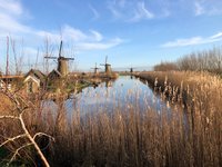 De zon, handigheidjes, zomerbollen, Sassenachkal, de molen