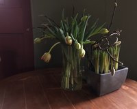 sokkenliniaal, patronen, wind en water, ganzen