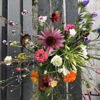 Feest, Binnenkijken in de molen