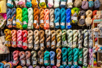 zomer, drukte in kinderdijk, broedse kip