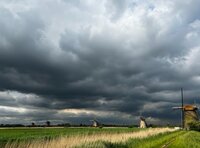 Mooie luchten, Ministerie van gebreide zaken, kip, molen.