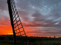 Bubbelicious, allemaal beestjes, hekkewigjes