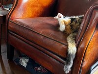 sokken, wol verven, spinnen, herfst, luie zondag, Vier!