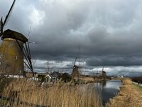 Eindelijk weer verven, koningsdag, ganzen zijn weer terug