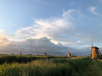 FEEST! gave sokken, ruik de lente