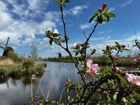 wolwasje, gaaf patroon, 2e prijs, allemaal beestjes
