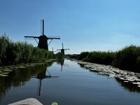 ALpine bloom tee, mooie sokken, knagende bevers, rust