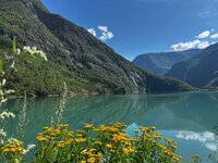 Terug van weg geweest, aan de bak, Breidagen in Zwolle