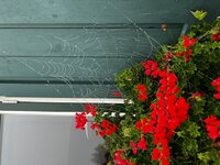 Herfst, sokkenclub, mkal, mooi doel, thuis