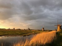 Alweer vrijdag, vrolijke sokkenwol, mooi patroon, slapen bij de kachel