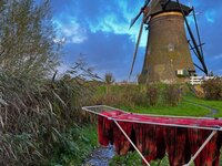 advent, instant crush, kerstwolletjes, de molenaar praat