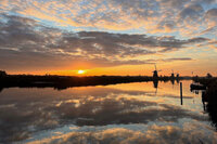 Green friday, heel veel wol verven, advent patronen, haverkoekjes, wind, regen en zonneschijn.