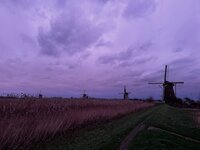 kerst, breien, beetje dom, puzzelen, 39 jaar