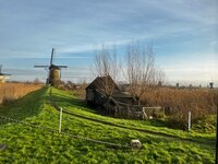 Nieuw jaar, Artus, Zon, Henk en knotten