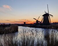 Verven, ijs, Marianne, Punky