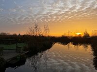 verven, heel zacht, mooi van de advent, voorjaar