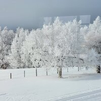 Heel veel WIP's afgemaakt, Ik zit nu in Noorwegen