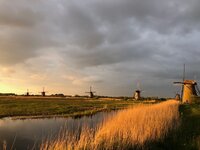 Utrecht, wol verven, muts, nieuwsbrief, hout, broeds