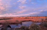 Maasplein, hoe breit de wol op, advent kalender, klaar, beertje peertje, mooie tulpen