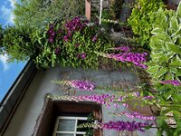 tuinieren, pinsterweekend, ons bussie, fietsen, hardlopen