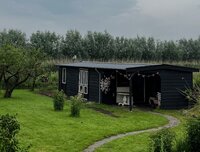 Neon neps, mooie sokken, high tea, nieuwe zeilen eitjes, Punky