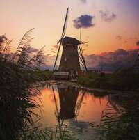 Blij met wol, wolwinden, nieuwe kleurtjes in de webshop, schilderen bij de molen, fietsen