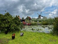 Klaar, Alpine bloom, nieuwe Fluff, Punky