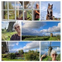 Vakantieprojecten, klaar, Irene, het ei