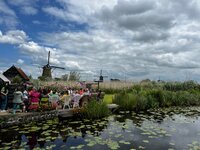 Wol en WiFi in de 21e eeuw